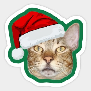 Cute Cat In Red Christmas Hat Sticker